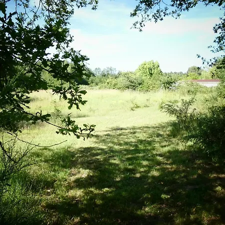Gite Des Dalets Lisle-sur-Tarn